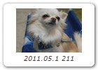 2011.05.1 211