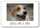 2011.05.1 261