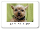 2011.05.1 303