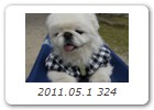 2011.05.1 324