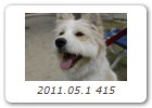 2011.05.1 415