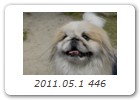 2011.05.1 446