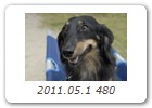 2011.05.1 480