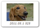 2011.05.1 525