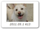 2011.05.1 613