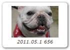2011.05.1 656