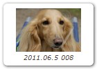 2011.06.5 008