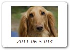 2011.06.5 014