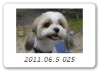 2011.06.5 025