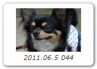 2011.06.5 044