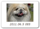 2011.06.5 085