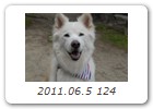2011.06.5 124
