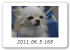 2011.06.5 168