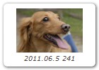 2011.06.5 241