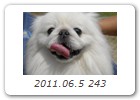 2011.06.5 243