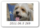 2011.06.5 269