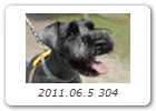 2011.06.5 304