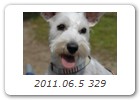 2011.06.5 329