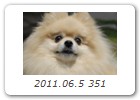 2011.06.5 351