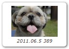 2011.06.5 389