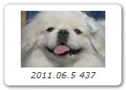 2011.06.5 437