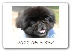 2011.06.5 452