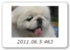 2011.06.5 463