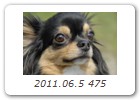 2011.06.5 475