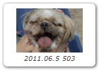 2011.06.5 503