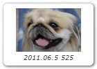 2011.06.5 525