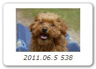 2011.06.5 538