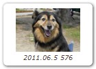 2011.06.5 576