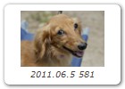 2011.06.5 581