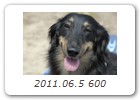 2011.06.5 600