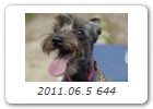 2011.06.5 644