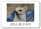 2011.06.5 672