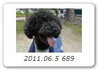 2011.06.5 689