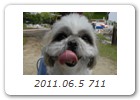 2011.06.5 711