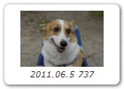 2011.06.5 737