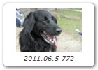 2011.06.5 772