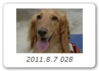 2011.8.7 028