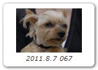 2011.8.7 067
