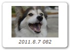 2011.8.7 082