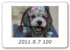 2011.8.7 100