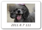2011.8.7 111