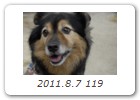 2011.8.7 119