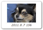 2011.8.7 156