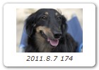 2011.8.7 174