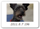 2011.8.7 196