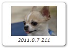 2011.8.7 211